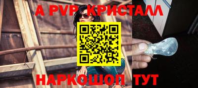 крисы Малгобек
