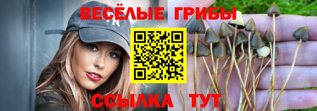Галлюциногенные грибы мицелий Сыктывкар
